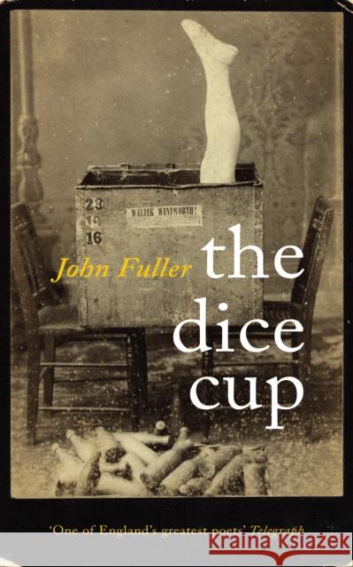 The Dice Cup John Fuller 9780701188368