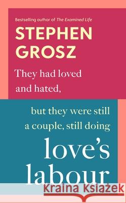 Love’s Labour Stephen Grosz 9780701188962