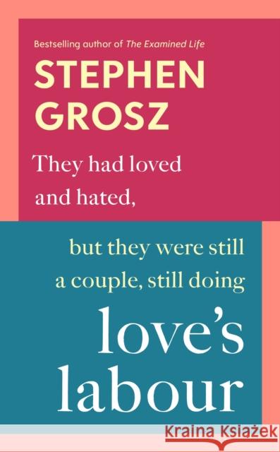 Love's Labour Stephen Grosz 9780701188979