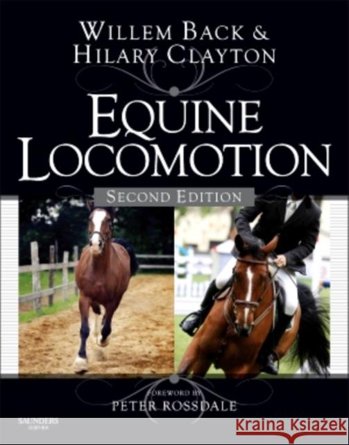 Equine Locomotion Willem Back Willem Back Hilary M. Clayton 9780702029509 W.B. Saunders Company