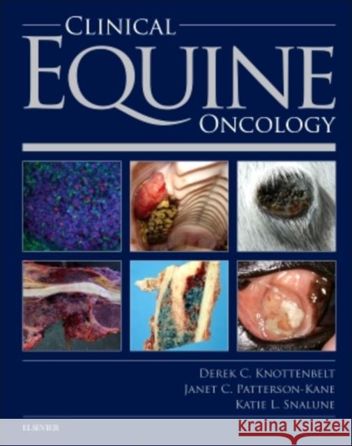 Clinical Equine Oncology Derek C Knottenbelt 9780702042669 Elsevier Saunders