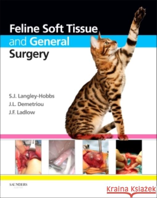 Feline Soft Tissue and General Surgery S. J. Langley-Hobbs Jackie Demetriou Jane Ladlow 9780702043369 W.B. Saunders Company