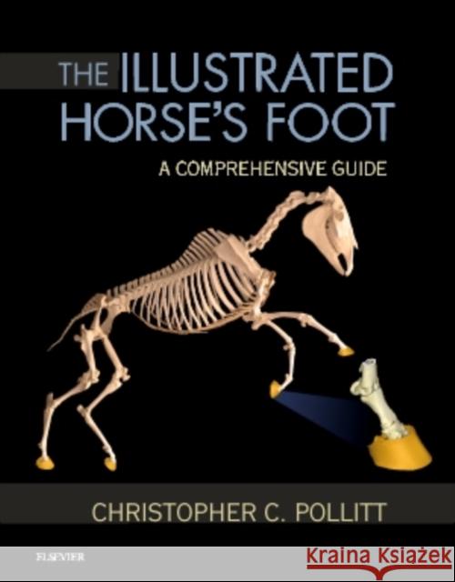 The Illustrated Horse's Foot: A Comprehensive Guide Pollitt, Christopher C. 9780702046551 Elsevier Science