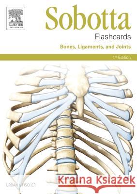 Sobotta Flashcards Bones, Ligaments and Joints : Bones, Ligaments and Joints Lars  9780702052576 Elsevier Science