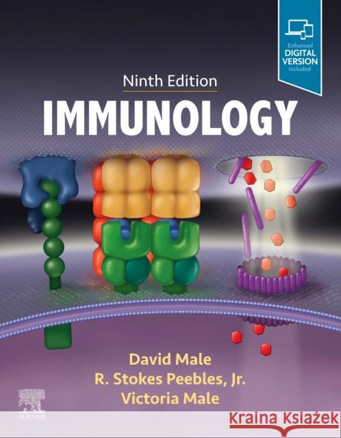 Immunology David Male Stokes Peebles Victoria Male 9780702078446
