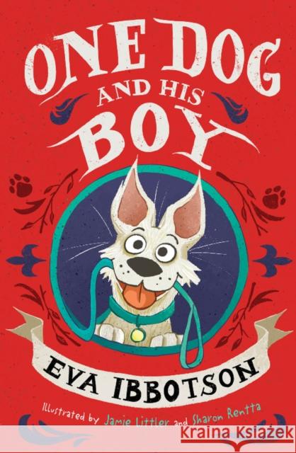 One Dog and His Boy Eva Ibbotson 9780702306808