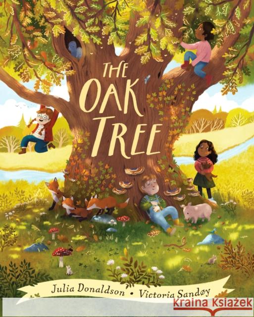 The Oak Tree Julia Donaldson 9780702324345 Scholastic