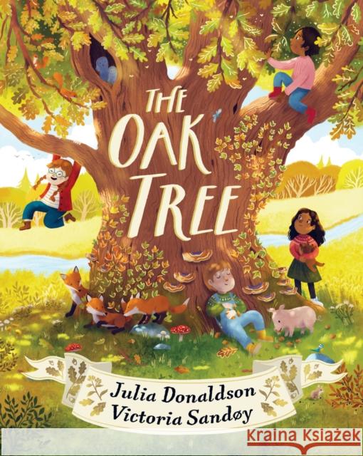 The Oak Tree Julia Donaldson 9780702324352 Scholastic