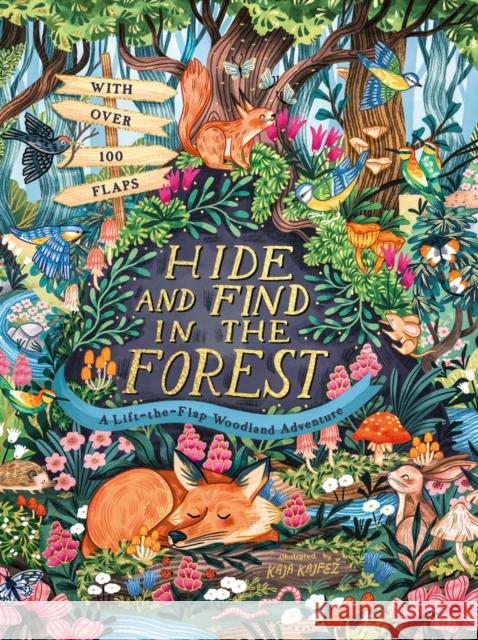 Hide and Find in the Forest: A Lift-the-Flap Woodland Adventure Scholastic 9780702329944