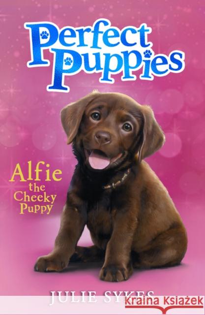 Perfect Puppies Book 1 Julie Sykes 9780702340543 Scholastic