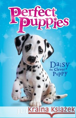 Daisy the Clever Puppy Julie Sykes 9780702345395 Scholastic