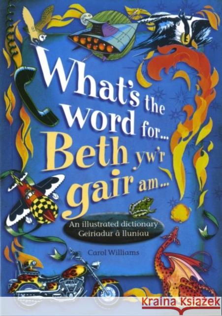 What's the Word for...? : Beth yw'r Gair am...? Carol Williams 9780708317365 UNIVERSITY OF WALES PRESS