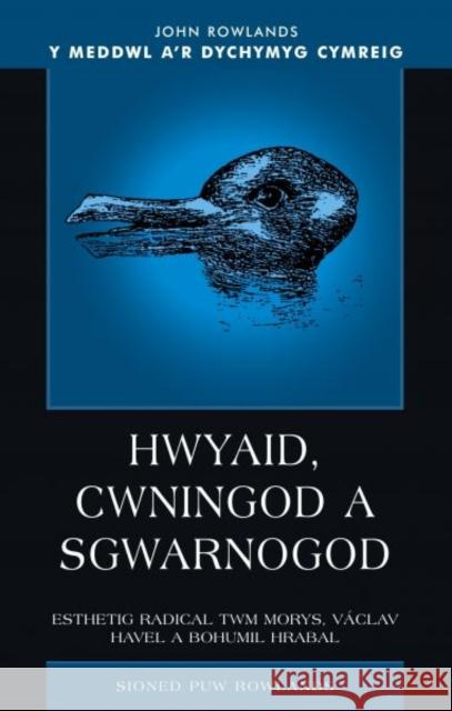 Hwyaid, Cwningod a Sgwarnogod : Esthetig Radical Twm Morys, Vaclav Havel a Bohumil Hrabal  9780708320501 University of Wales Press