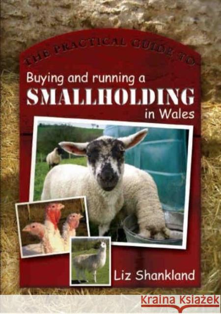 The Practical Guide to Buying and Running a Smallholding in Wales Liz Shankland 9780708321386 UNIVERSITY OF WALES PRESS