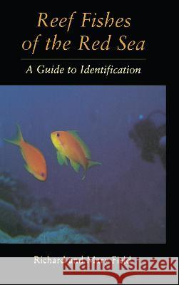 Reef Fish of the Red Sea Richard Field Mary Field Field 9780710306135 Routledge