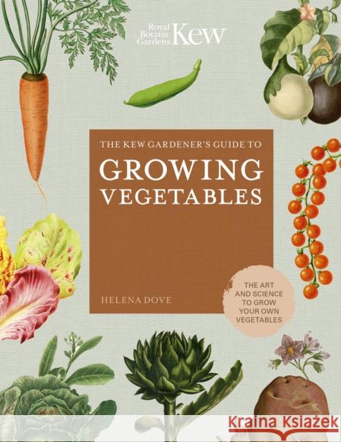 The Kew Gardener's Guide to Growing Vegetables: The Art and Science to Grow Your Own Vegetables Helena Dove Royal Botanic Gardens Kew 9780711242784 Frances Lincoln Publishers Ltd