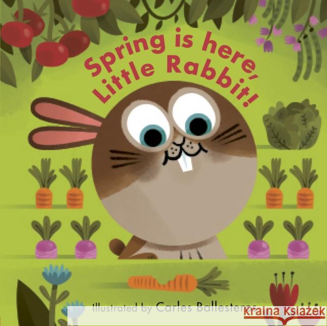 Spring Is Here, Little Rabbit! Matthew Morgan 9780711247512 Aurum Press