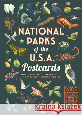 National Parks of the USA Postcards Chris Turnham Kate Siber 9780711263277 Wide Eyed Editions