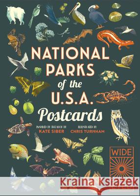 National Parks of the USA Postcards Chris Turnham Kate Siber 9780711263277