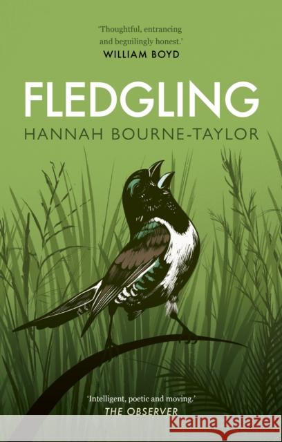 Fledgling Hannah Bourne-Taylor 9780711266681