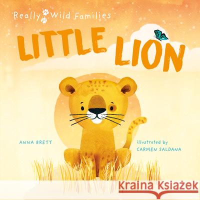 Little Lion: A Day in the Life of a Little Lion Anna Brett Carmen Saldana 9780711274099