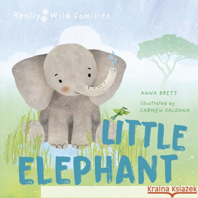 Little Elephant: A Day in the Life of a Elephant Calf Anna Brett 9780711274112