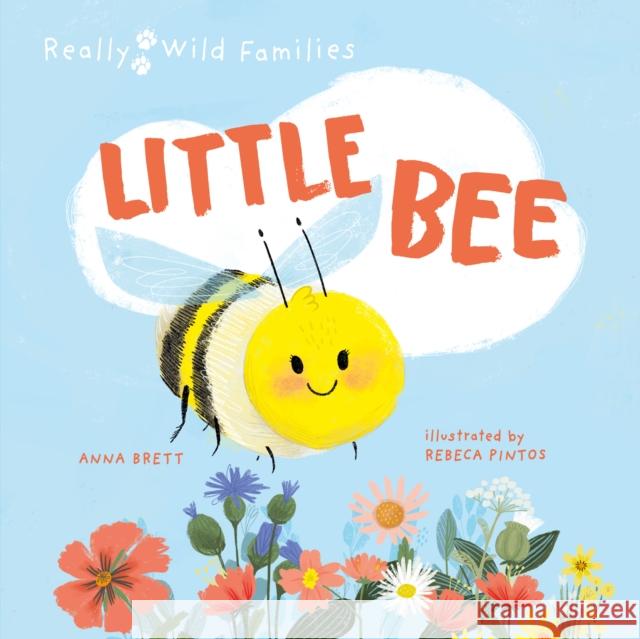 Little Bee: A Day in the Life of the Bee Brood ANNA BRETT 9780711274143