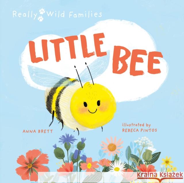 Little Bee: A Day in the Life of a Little Bee Anna Brett Rebeca Pintos 9780711274150 QEB Publishing