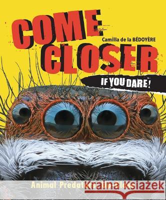 Come Closer If You Dare!: Animal Predators Up Close Camilla D 9780711281974