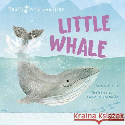 Little Whale: A Day in the Life of a Whale Calf Anna Brett Carmen Saldana 9780711283558