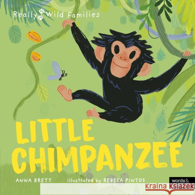 Little Chimpanzee: A Day in the Life of a Baby Chimp Anna Brett 9780711283572 Quarto Publishing PLC