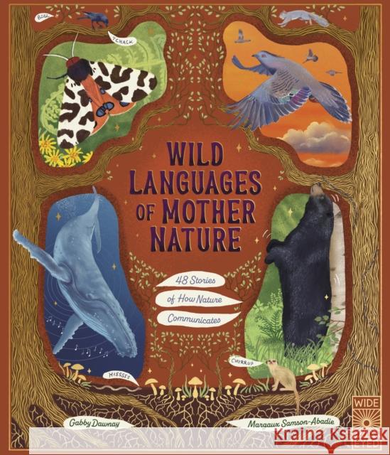 Wild Languages of Mother Nature: 48 Stories of How Nature Communicates: 48 Stories of How Nature Communicates Gabby Dawnay 9780711288478 Quarto Publishing PLC