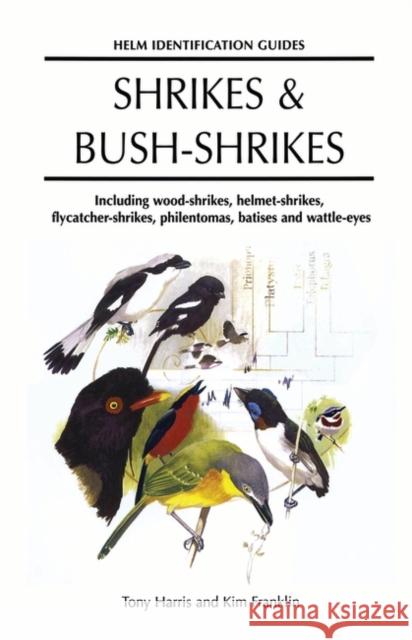 Shrikes and Bush-shrikes: Including Wood-shrikes, Helmet-shrikes, Shrike Flycatchers, Philentomas, Batises and Wattle-eyes Tony Harris, Kim Franklin 9780713638615 Bloomsbury Publishing PLC