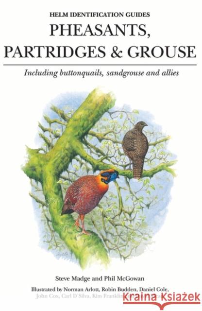 Pheasants, Partridges & Grouse: Including buttonquails, sandgrouse and allies Phil McGowan, Steve Madge, Carl D'Silva, Daniel Cole, Professor David Mead, John D. Cox, Kim Franklin, Norman Arlott, Ro 9780713639667