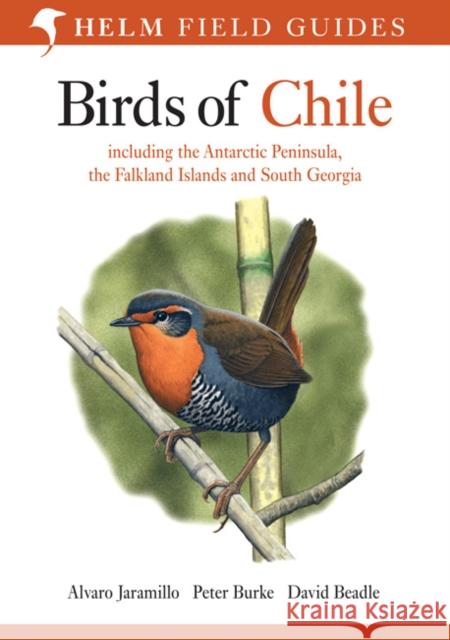 Birds of Chile Alvaro Jaramillo, David Beadle, Peter Burke 9780713646887