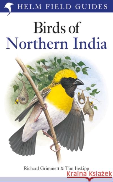 Birds of Northern India Richard Grimmett 9780713651676
