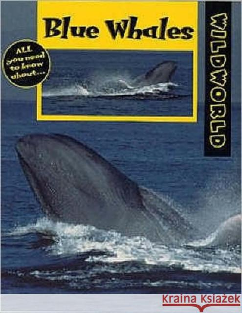 Blue Whales Patricia Miller-Schroeder 9780713657487