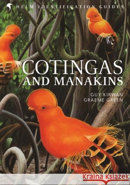 Cotingas and Manakins Guy Kirwan, Graeme Green 9780713660258 Bloomsbury Publishing PLC