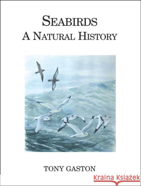 SEABIRDS A. J. Gaston 9780713665574 A & C BLACK PUBLISHERS LTD