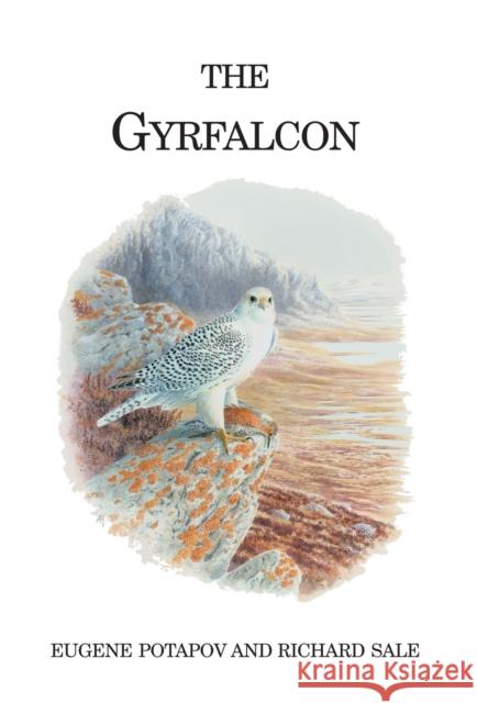 The Gyrfalcon Eugene Potapov, Richard Sale 9780713665635 Bloomsbury Publishing PLC