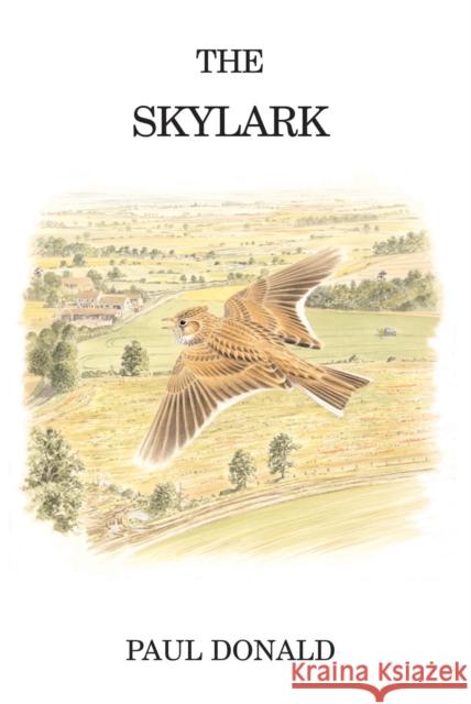 The Skylark Paul Donald 9780713665680 Bloomsbury Publishing PLC