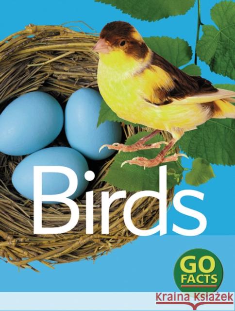 Birds Paul McEvoy 9780713666045 Bloomsbury Publishing PLC