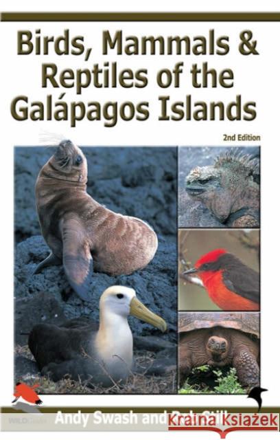 Birds, Mammals and Reptiles of the Galapagos Islands Rob Still, Andy Swash, Ian Lewington 9780713675511 Bloomsbury Publishing PLC