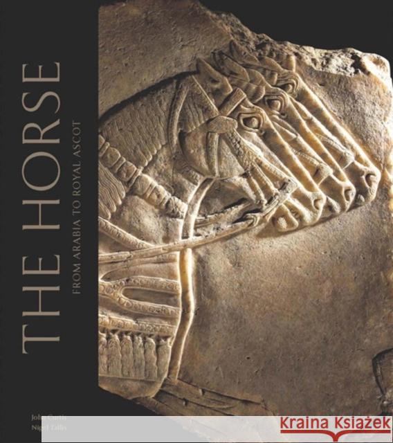 The Horse: From Arabia to Royal Ascot Nigel Tallis 9780714111834 British Museum Press