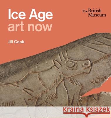 Ice Age art now Jill Cook 9780714123516 British Museum Press