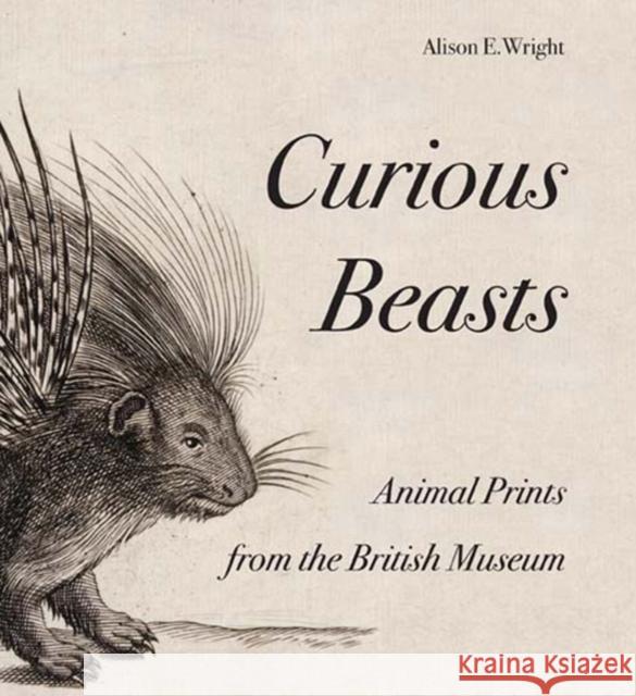 Curious Beasts: Animal Prints from the British Museum Wright, Alison 9780714126883 British Museum Press