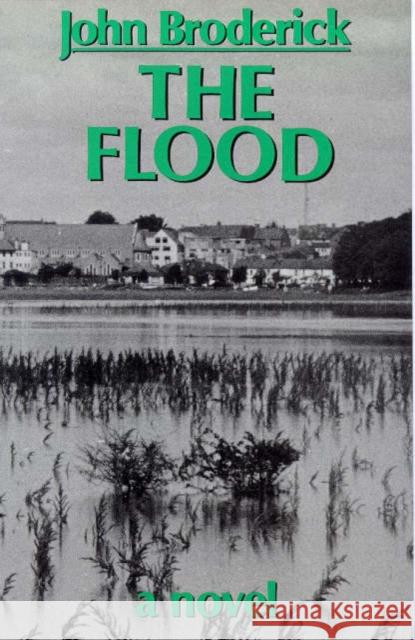 The Flood John Broderick 9780714528670