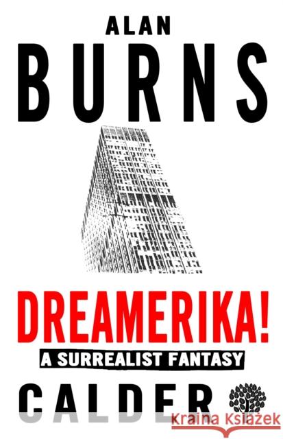 Dreamerika!: A Surrealist Fantasy Burns, Alan 9780714549071