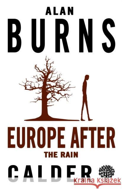 Europe after the Rain Alan Burns 9780714549163 Calder Publications