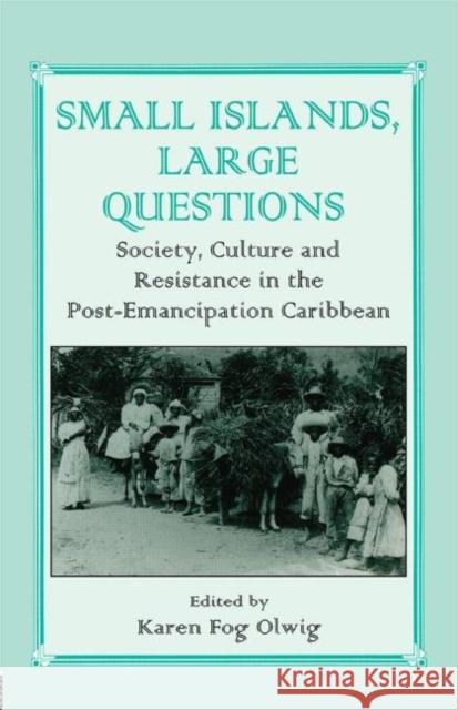 Small Islands, Large Questions: Society, Culture and Resistance in the Post-Emancipation Caribbean Olwig, Karen Fog 9780714642253 Routledge